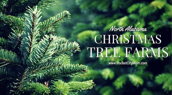 Christmas Tree Farms in North Alabama - Rocket City Mom