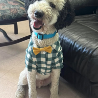 Doggypalooza is on Saturday | News